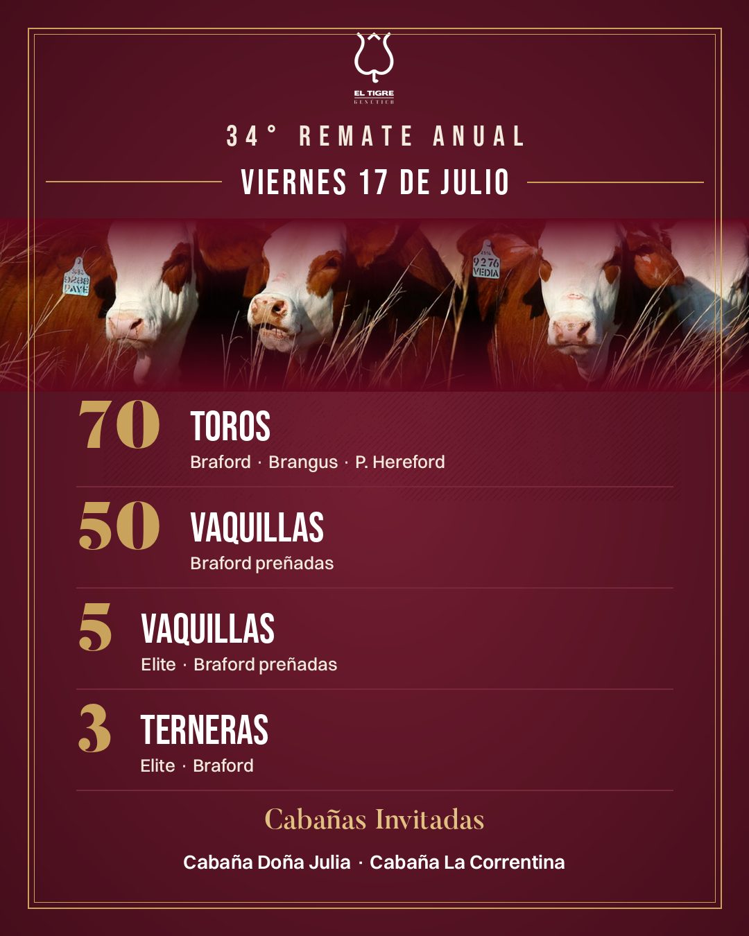 Pieza con la oferta completa del remate: toros, vaquillas y terneras