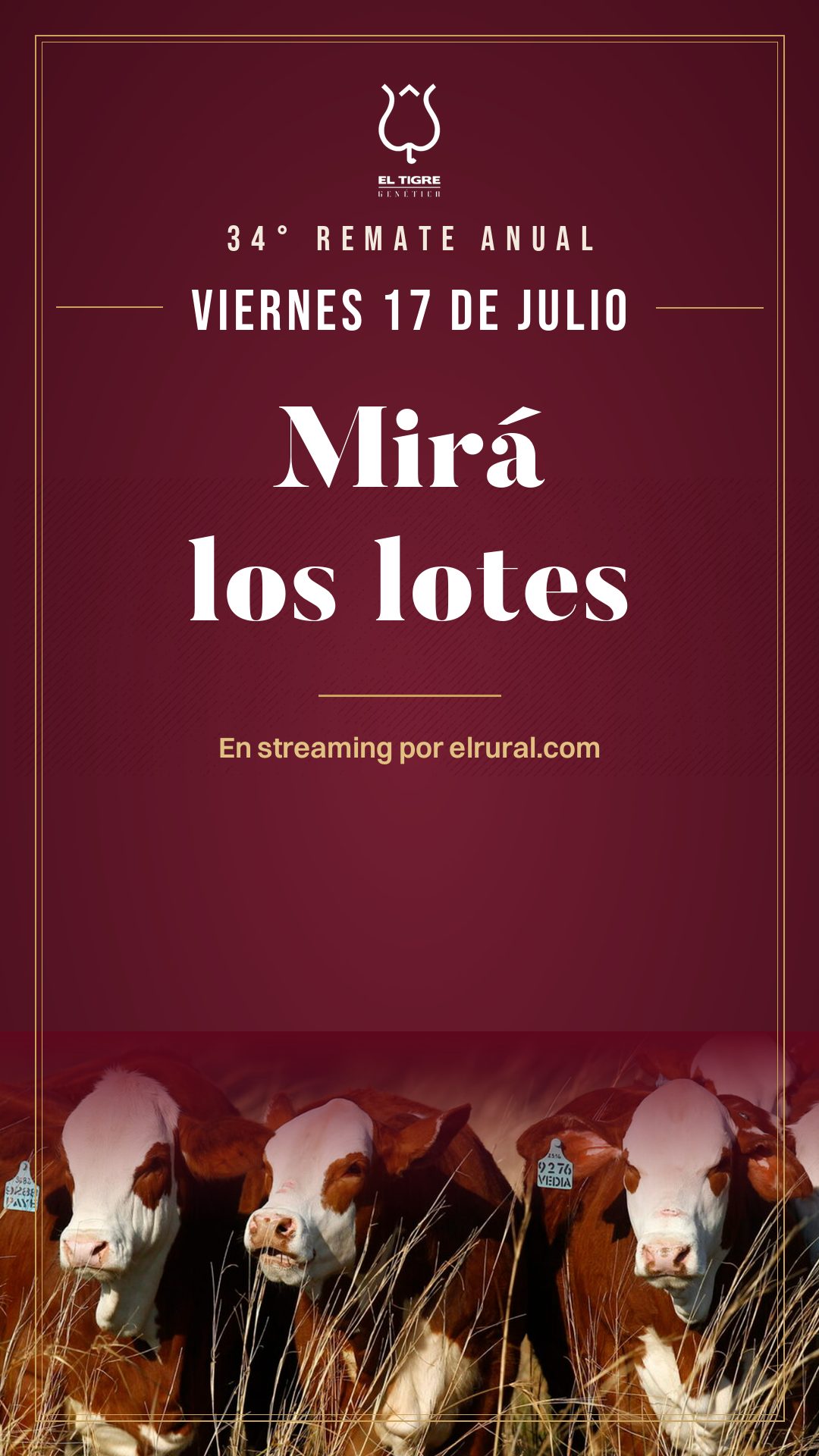 Historia invitando a mirar los lotes